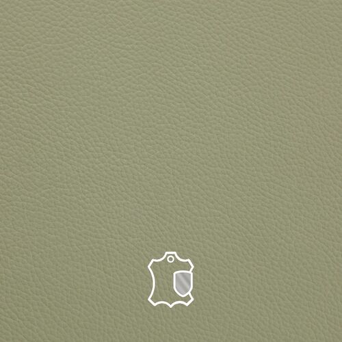 Shelly Thyme Green